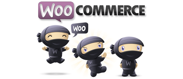 elodie webmaster cannes creation site internet webmaster cannes nice webdesign woocommerce.png